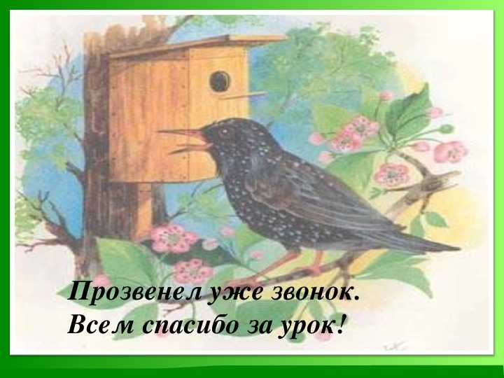 Краткое содержание белов скворцы для читательского дневника, читать краткий пересказ онлайн