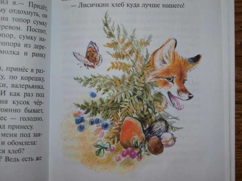 Паустовский лисичкин хлеб читать. детские сказки онлайн