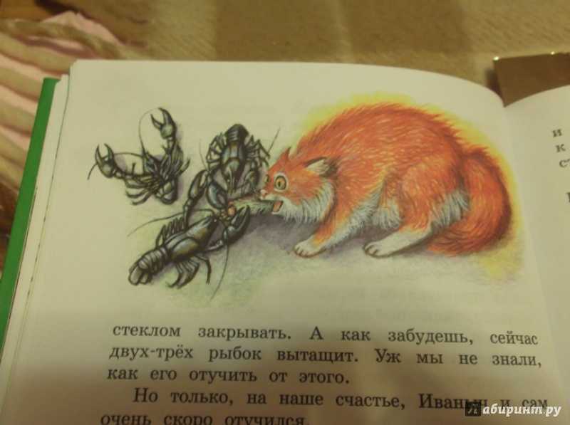 Пушок