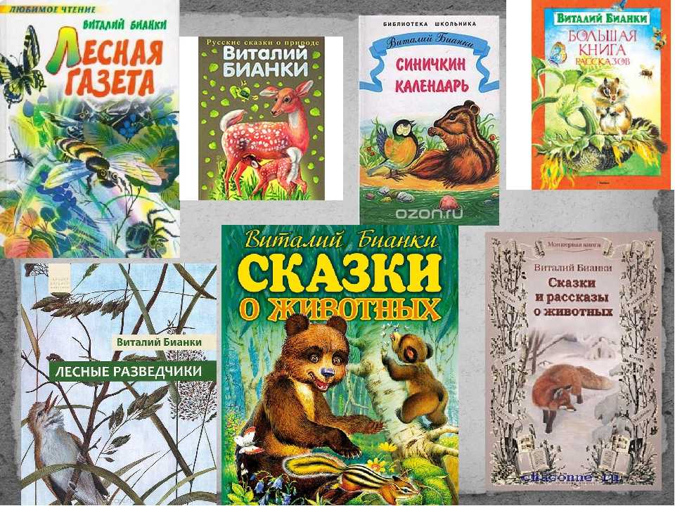 Читать сказку сказки-несказки: почему чайки белые - виталий бианки, онлайн бесплатно с иллюстрациями.