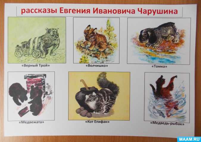 Рассказы чарушина для 2-3 класса