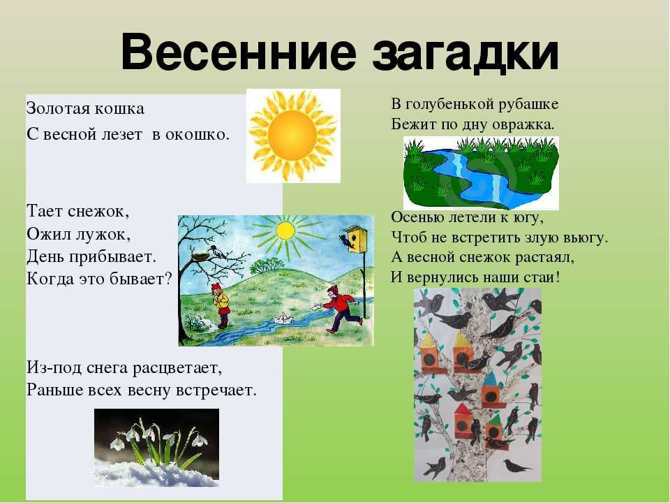 Рассказы в. сухомлинского