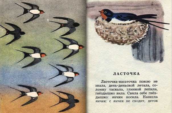 Ушинский «ласточка» читать текст - детский час
