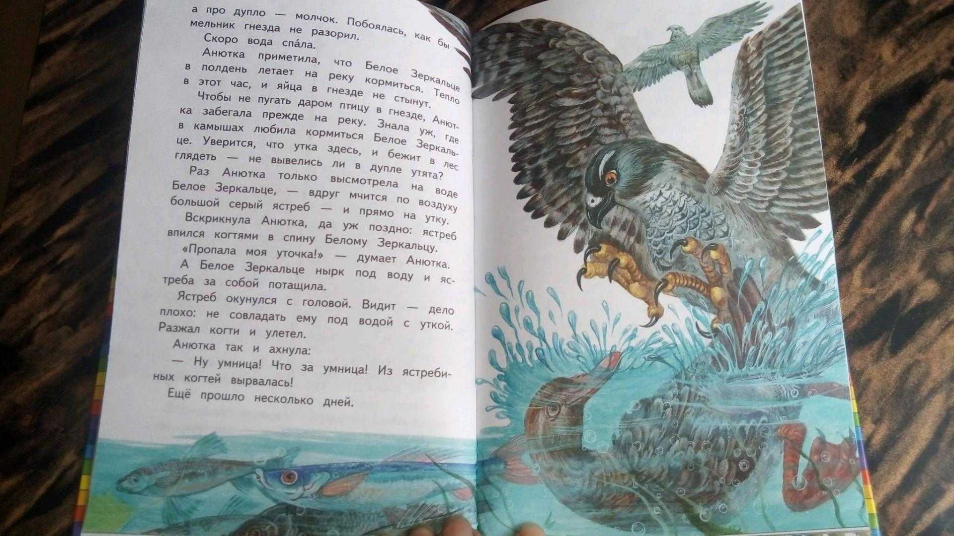 Анютина утка - сказки сунгиря