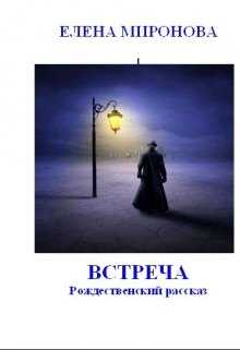 Встреча читать онлайн