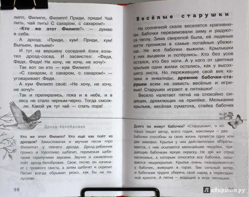 Николай сладков ★ бюро лесных услуг. с вопросами и ответами для почемучек читать книгу онлайн бесплатно