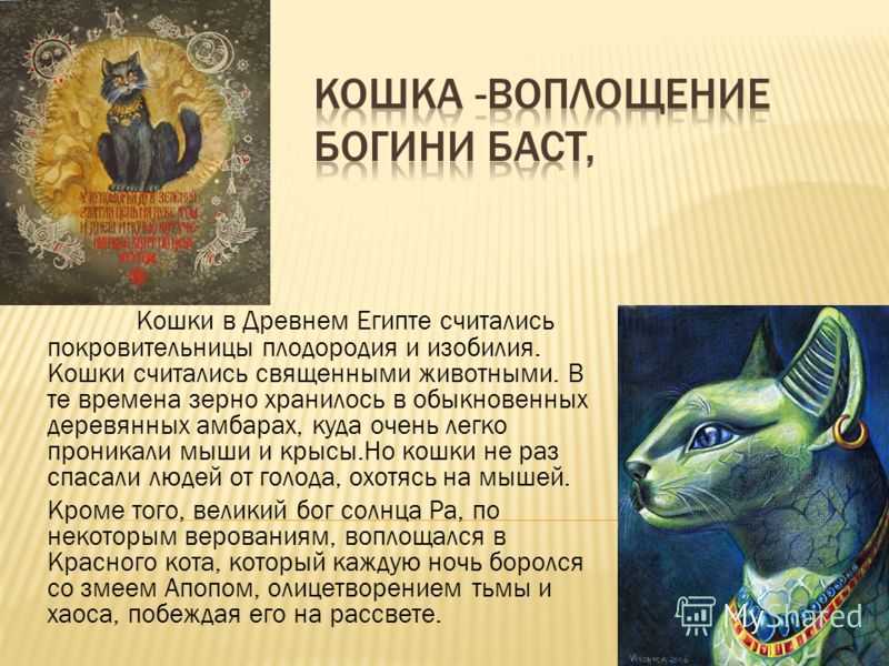 Древнеегипетские мифы и легенды. египетские мифы: герои и их описание | мифы, легенды и религии мира | дзен