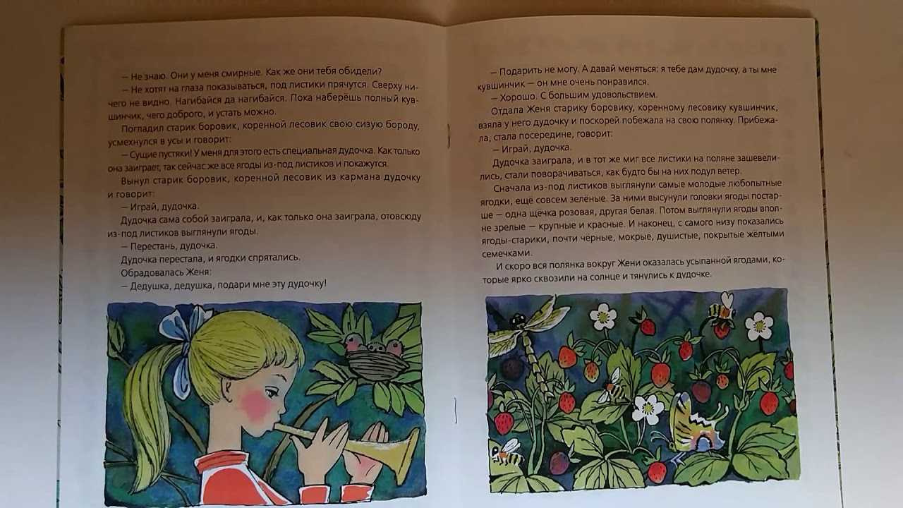 Катаев «дудочка и кувшинчик»