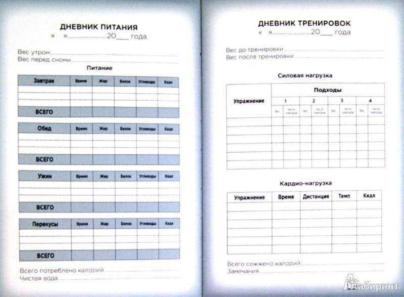 ✅ дневник питания шаблон - tom-florans.ru
