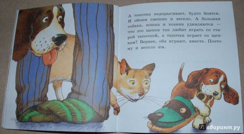 Сказка про котенка щенка