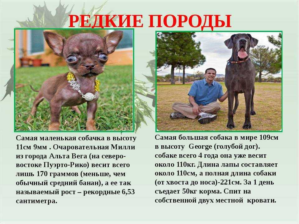 Рассказы сухомлинского