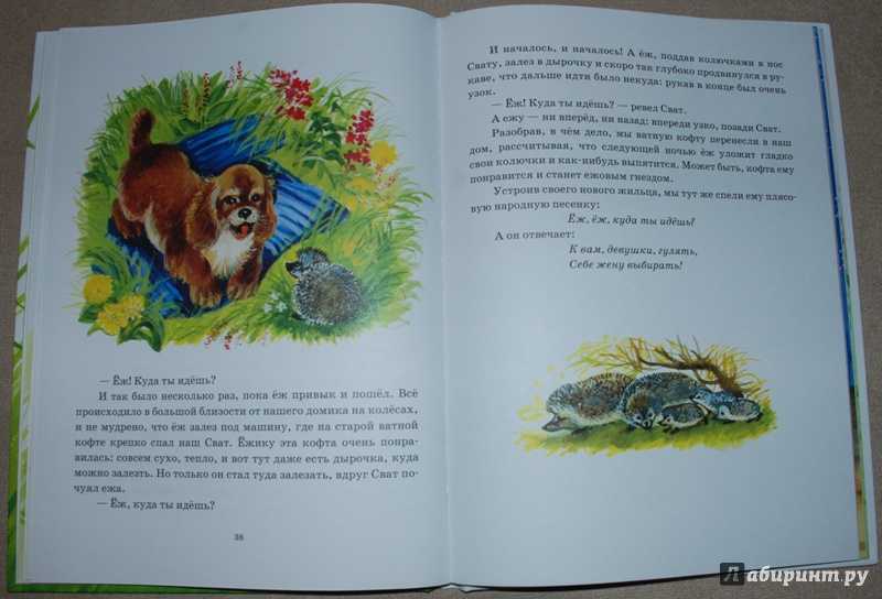 Рассказы пришвина михаила михайловича