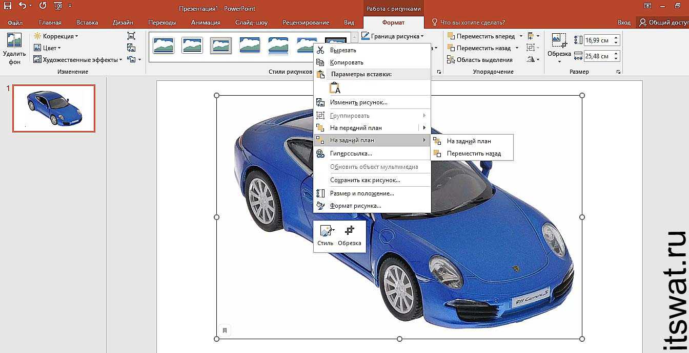 Цветы на прозрачном фоне - картинки, фото с фонами для презентаций powerpoint, openoffice