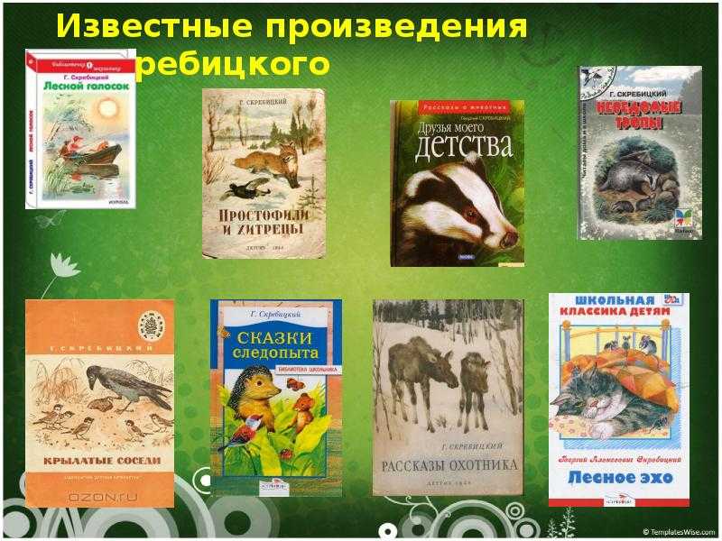 Рассказы о природе для детей дошкольного возраста 5-6-7 лет читать