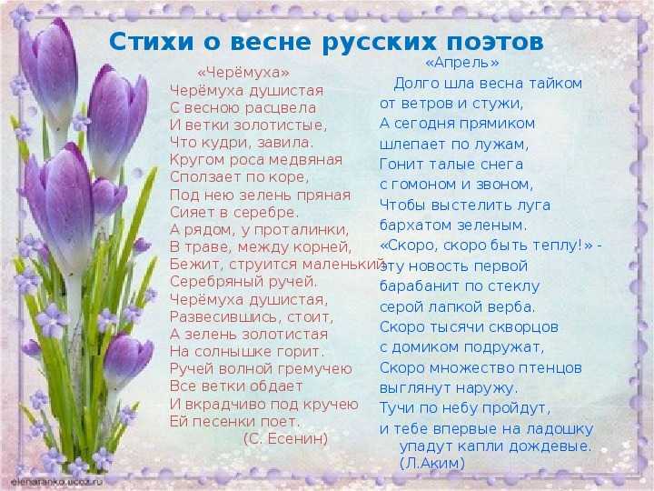 Тикунова людмила 	 |
		русский язык | журнал «начальная школа» № 14/2003
