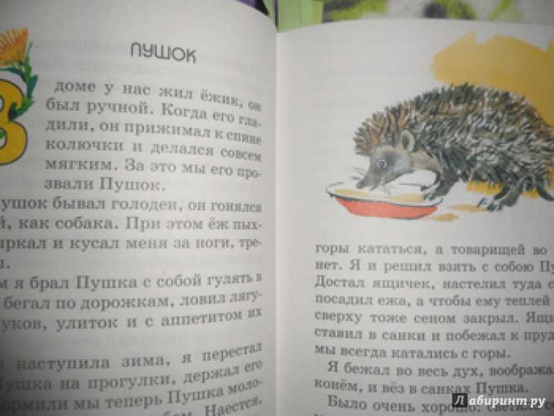 Пушок - скребицкий • рассказ • доброе лукошко • аудиокниги