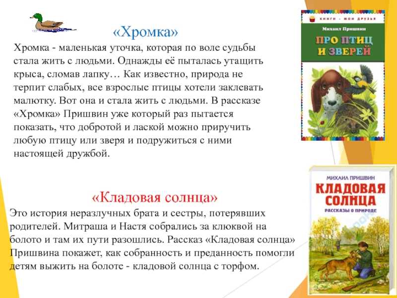 Хромка