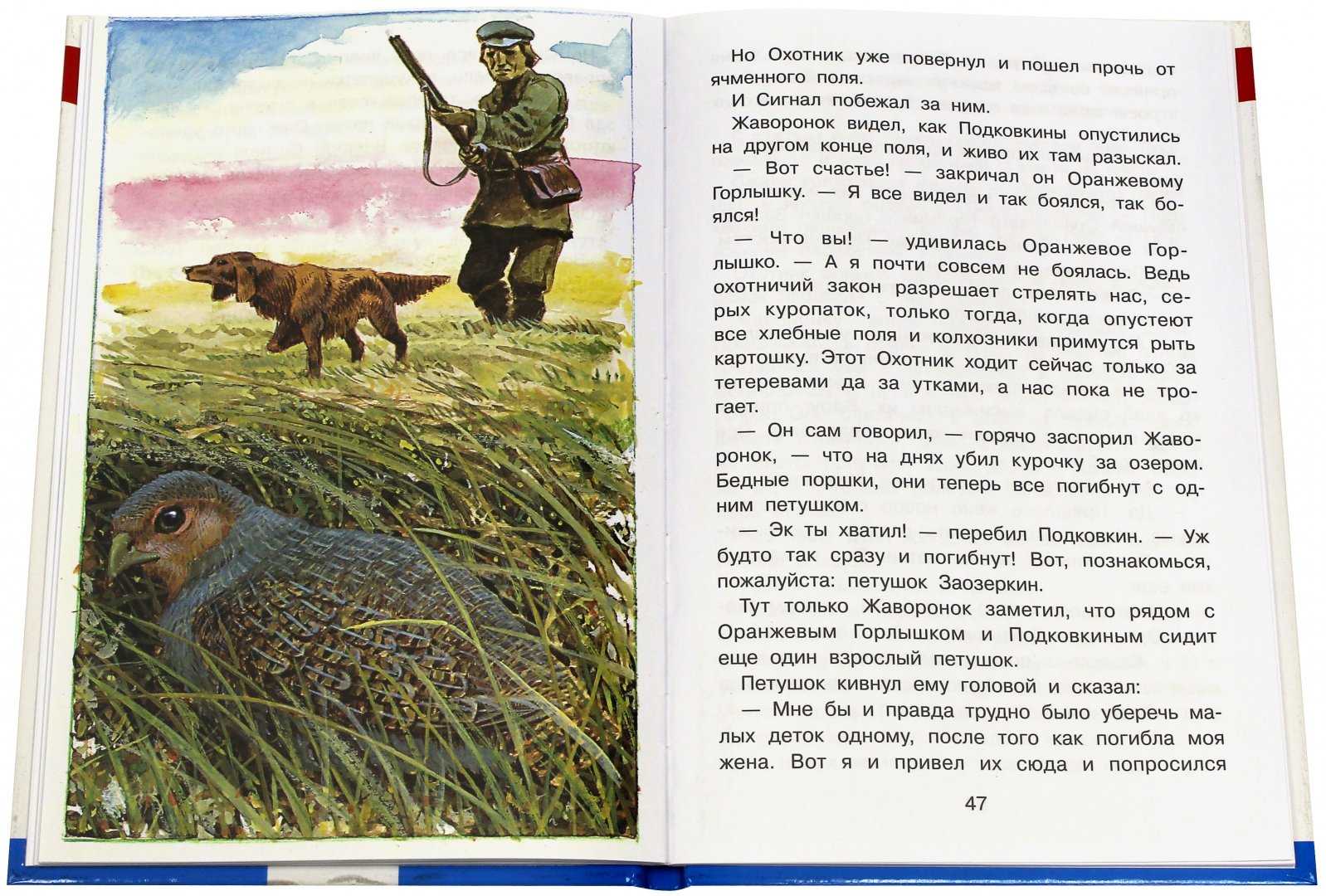 Тайна ночного леса