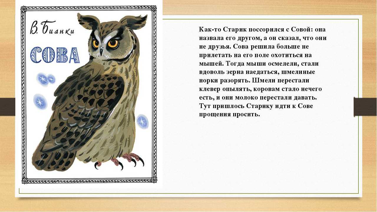 Сова — сказка виталия бианки