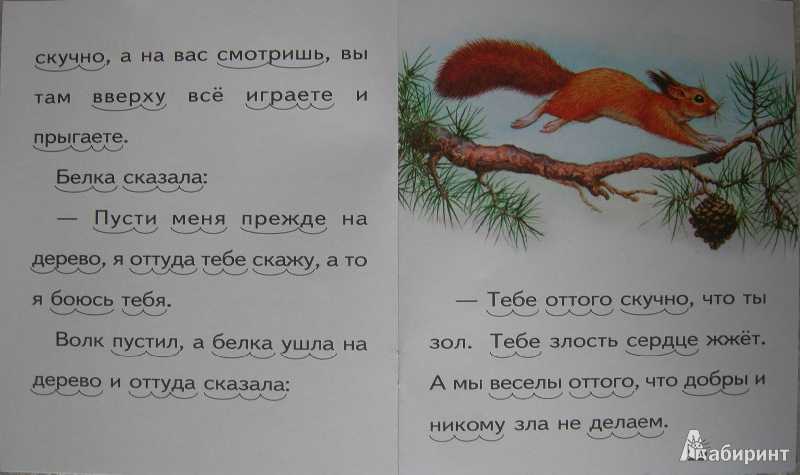 Басня белка и волк — лев толстой