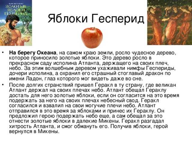 Яблоки гесперид (двенадцатый подвиг геракла) (кун) — читать онлайн