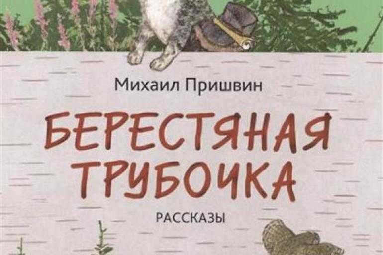 «берестяная трубочка» читательский дневник