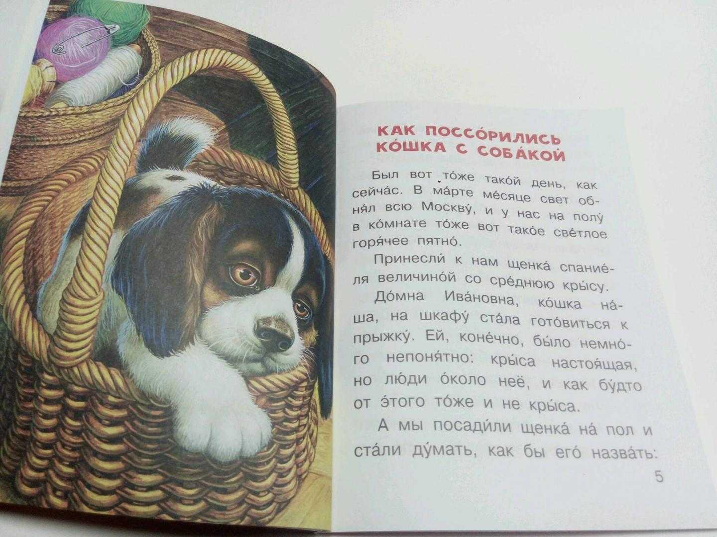 Книга птичий сон - читать онлайн - страница 1. автор: пришвин михаил михайлович. все книги бесплатно
