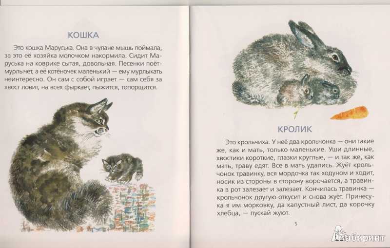 Евгений иванович чарушин про томку - рассказы  - библиотека - ларкина с.н.школа№4  начальные классы