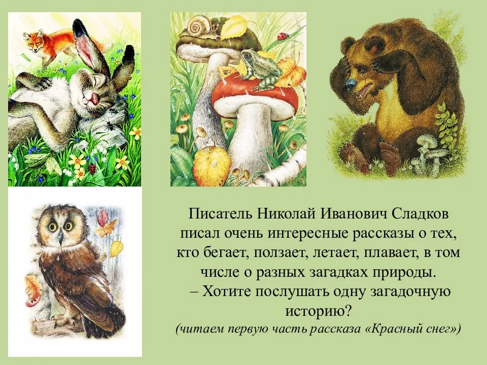 Жизнь животных весной сладкова сказки. Интересные рассказы.