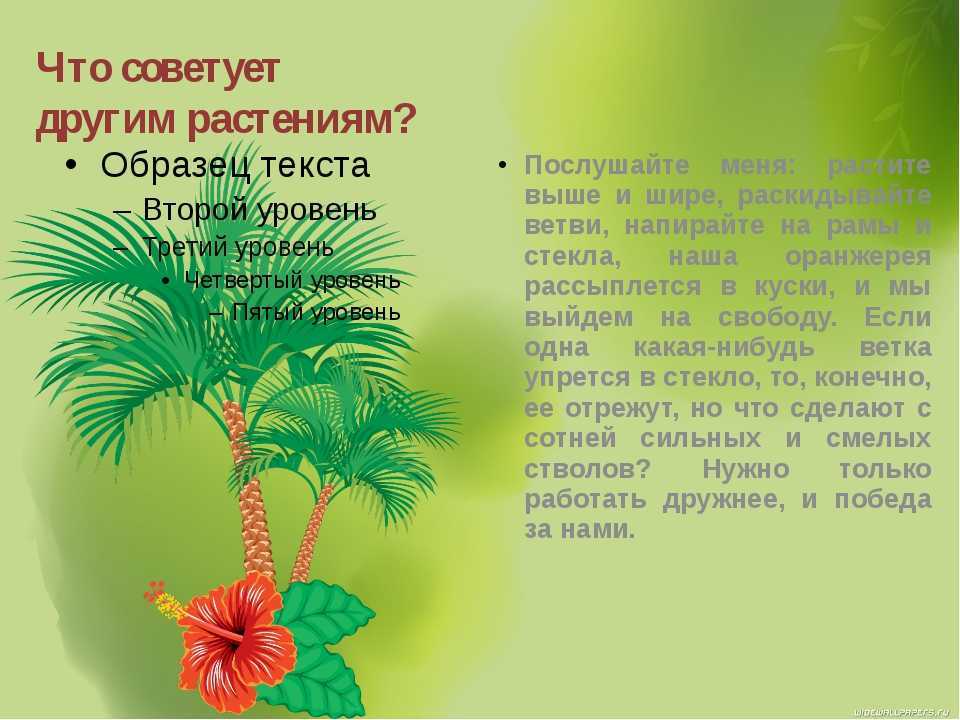 Книга attalea princeps - читать онлайн - страница 1. автор: гаршин всеволод михайлович. все книги бесплатно