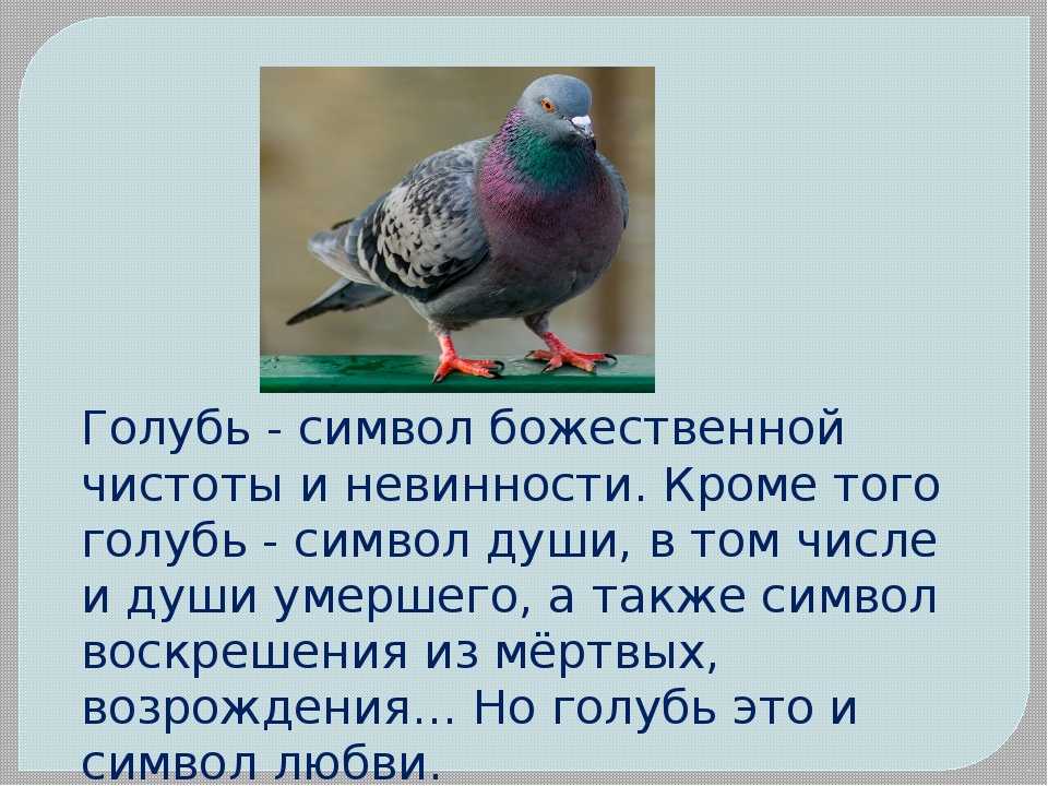 Поучительные сказки для детей. в. сухомлинский