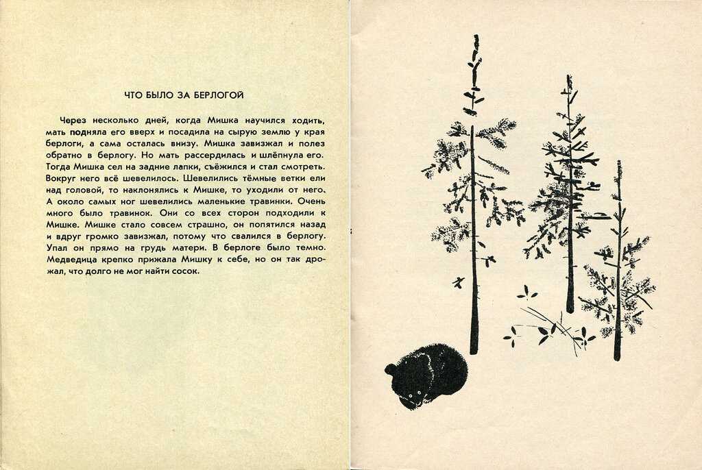 Чарушин медведица и медвежата – медведица и медвежата — рассказ евгения чарушина — сказочник №13 - club-detstvo.ru - центр искусcтв и творчества марьина роща