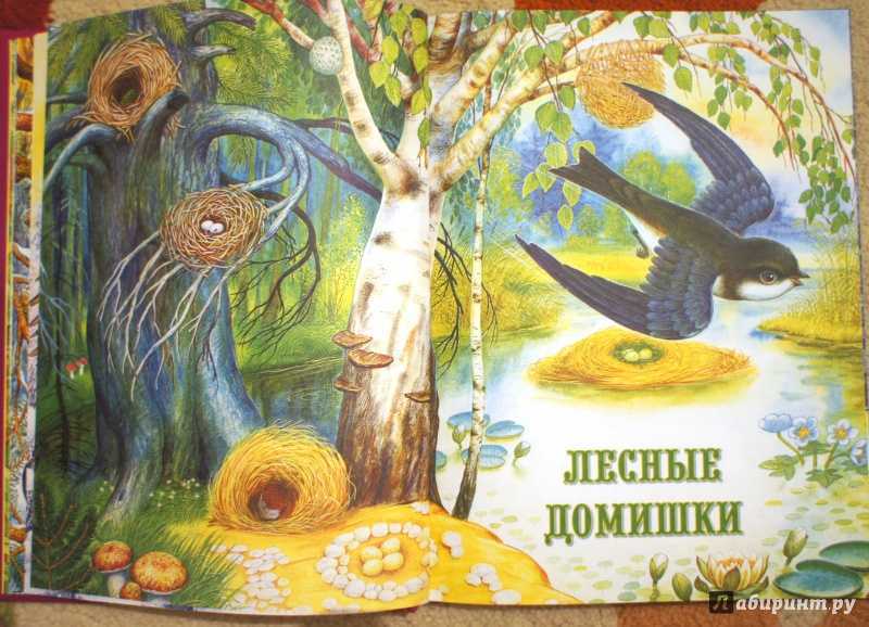 Лесные домишки — сказка виталия бианки