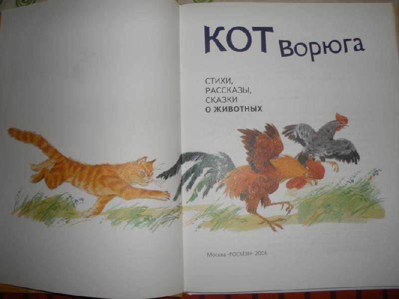 Кот-ворюга читать – наумёнок