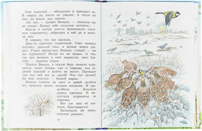 Виталий бианкисиничкин календарь