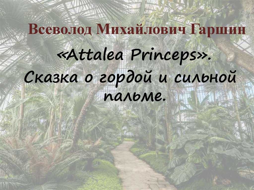 Всеволод гаршин ★ аttalea princeps читать книгу онлайн бесплатно