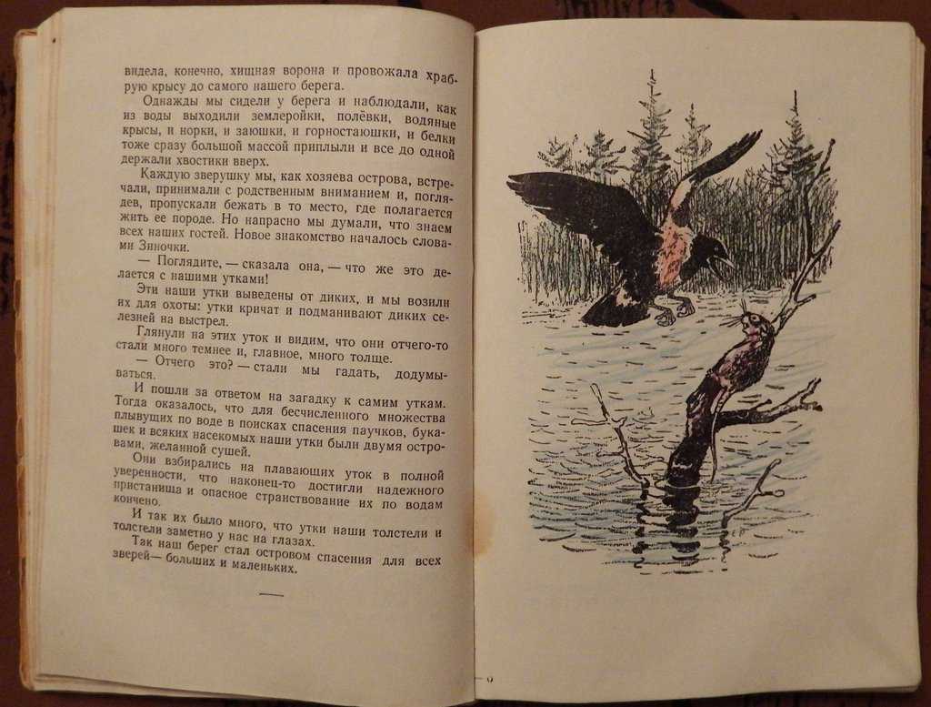 С природой одною он жизнью дышал… (пришвин м.м.)