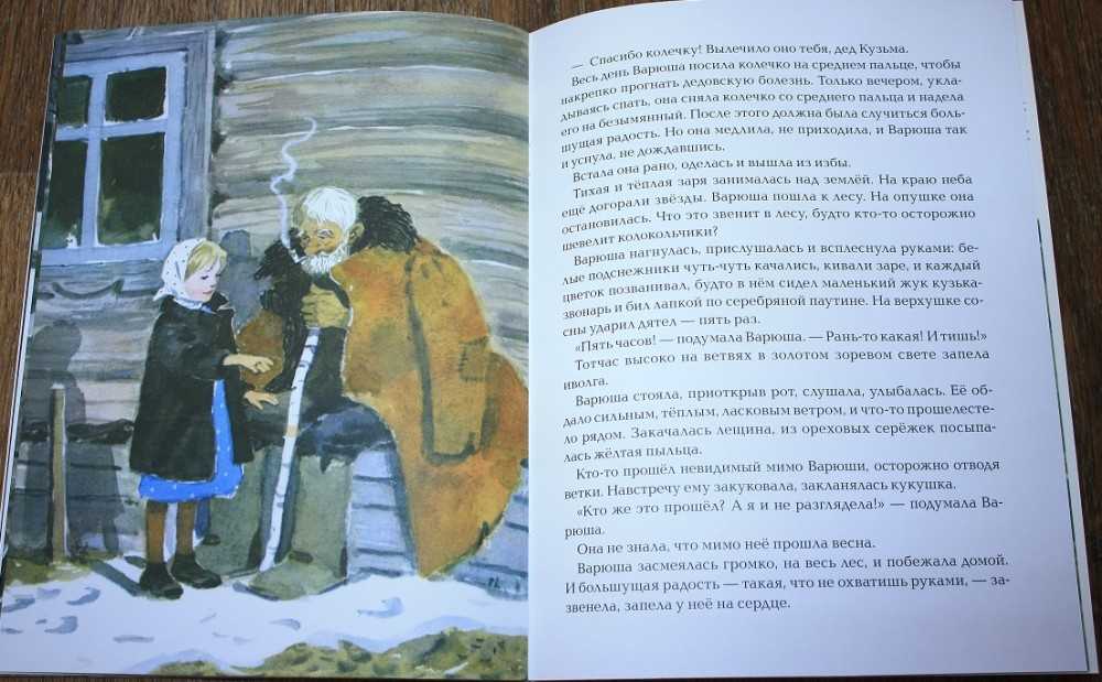 Стальное колечко — константин паустовский