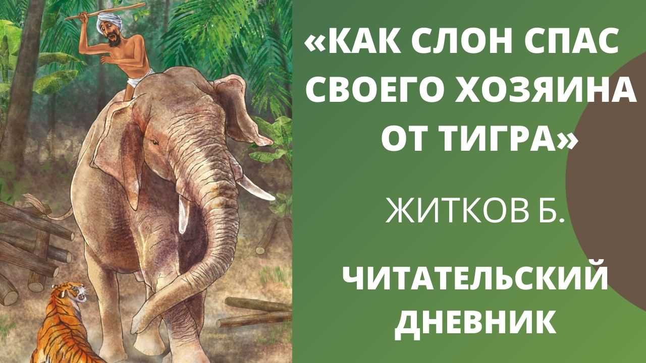 Как слон спас хозяина от тигра текст читать онлайн бесплатно