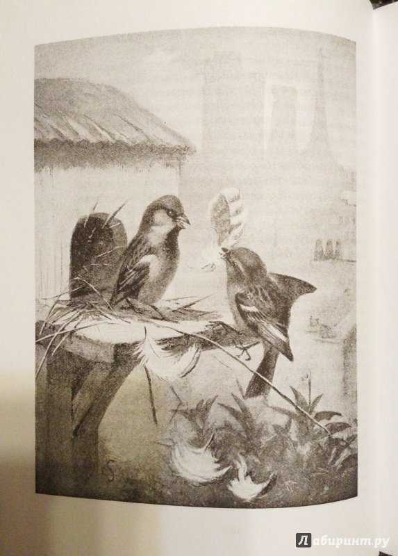 Уличный певец. рассказы
