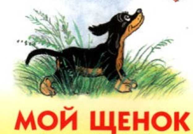 Сергей михалков 📜 щенок - читать и слушать стих +заказать анализ