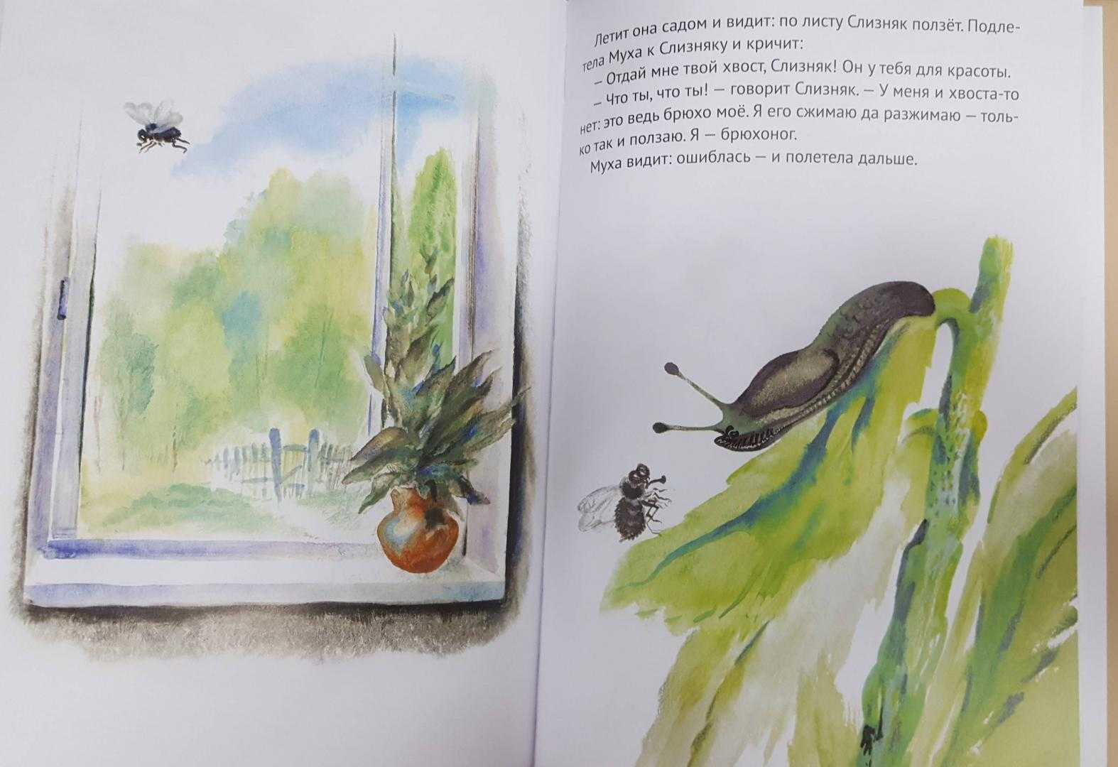 Хвосты скачать epub, fb2 книгу бианки виталий валентинович, читать онлайн