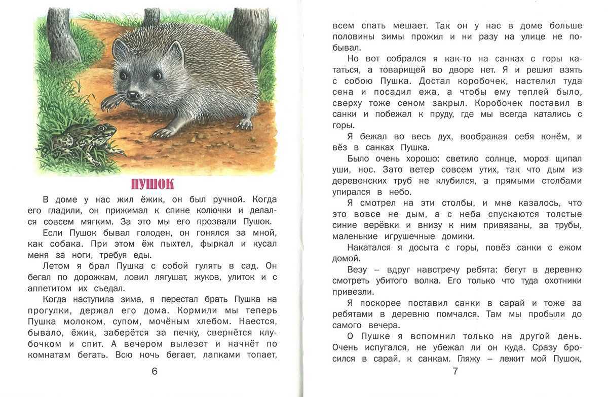 Счастливый день — пляцковский м.с. читать онлайн.