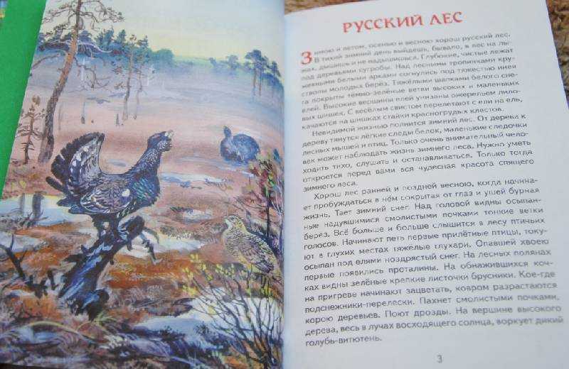 Рассказ русский лес соколов микитов распечатать