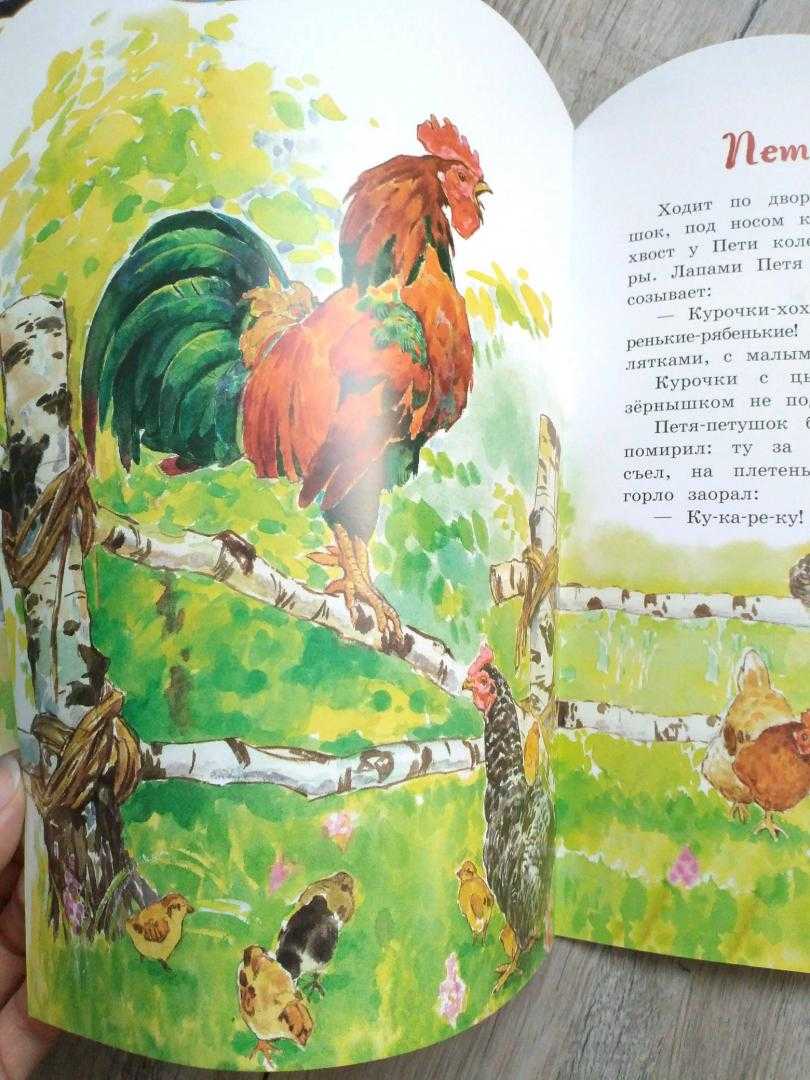 Рассказы и сказки для детей к.д. ушинского