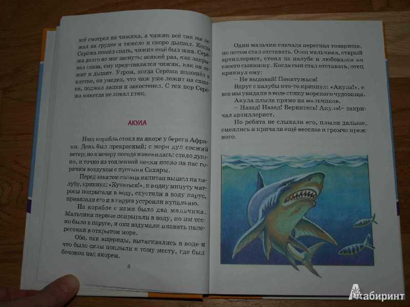 Акула толстой: краткое содержание для читательского дневника, краткий пересказ рассказа акула л.н.толстого