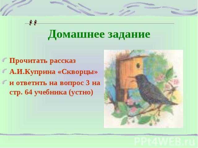 Сочинение на тему: павлунины радости (в. и. белов. «скворцы»)
