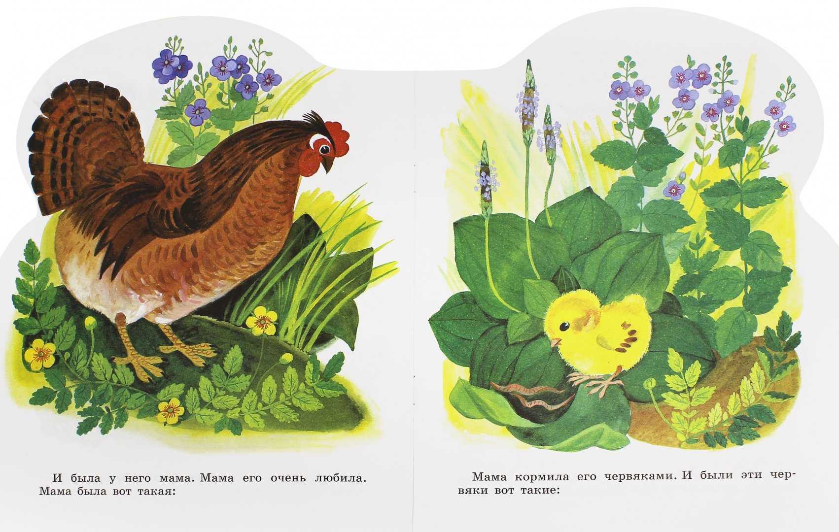 Сказки корнея чуковского