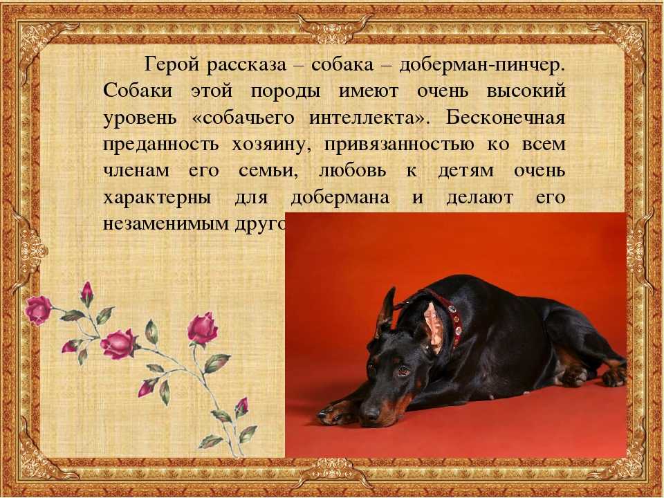 Поучительные сказки для детей. в. сухомлинский