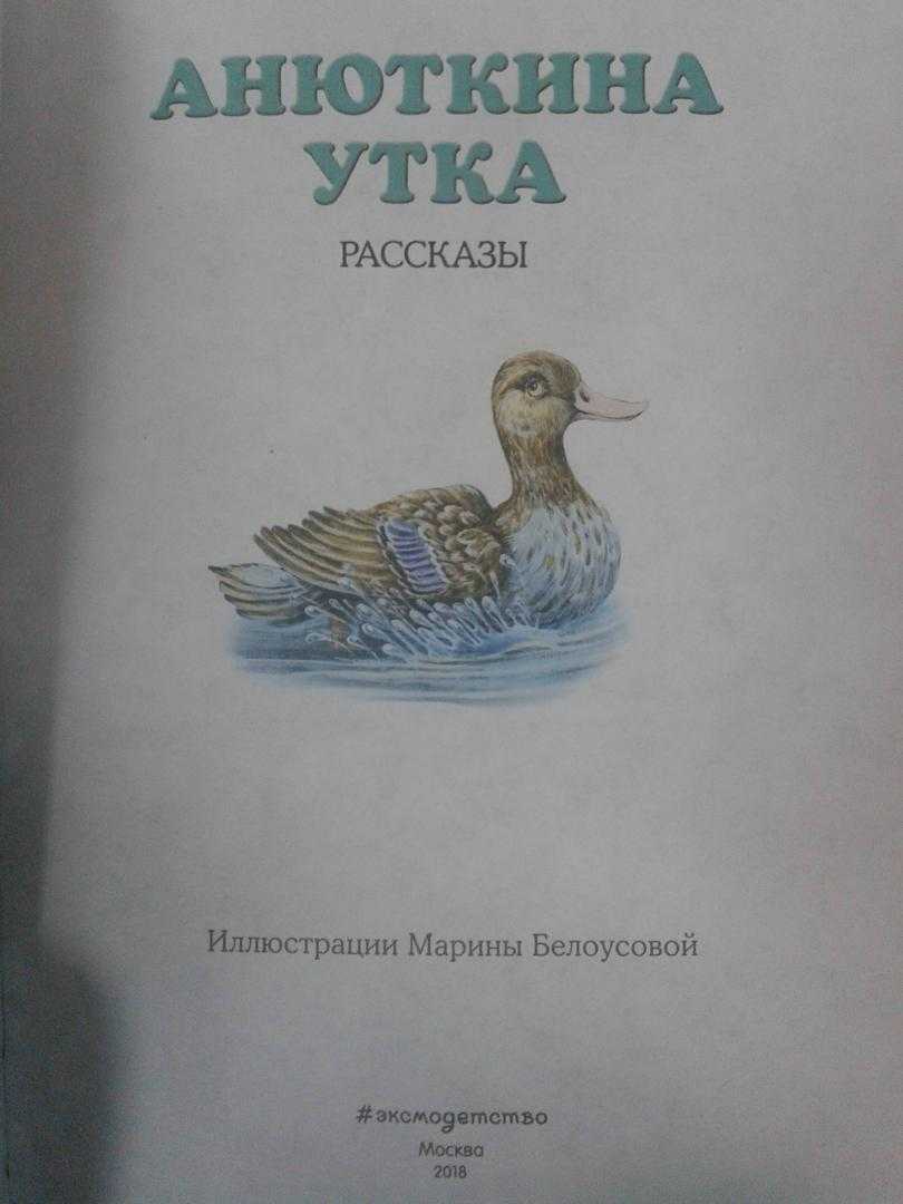 Анюткина утка - еще аудиосказки - аудио сказки, текст